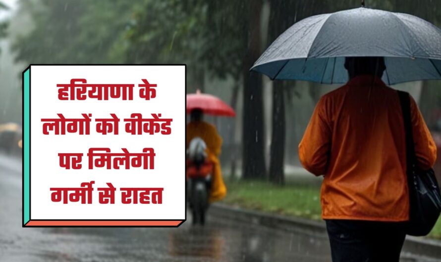 Haryana Weather Update: हरियाणा के लोगों को वीकेंड पर मिलेगी गर्मी से राहत, जमकर बरसेंगे बादल, 11 जिलों में भारी बारिश का अलर्ट जारी