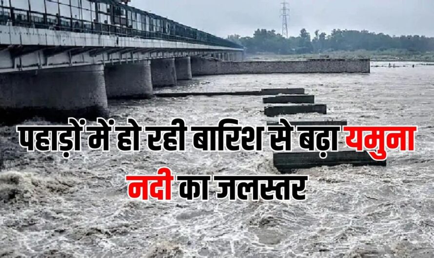 Hathnikund Barrage: पहाड़ों में हो रही बारिश से बढ़ा यमुना नदी का जलस्तर, निचले इलाकों में रहने वालों के लिए अलर्ट