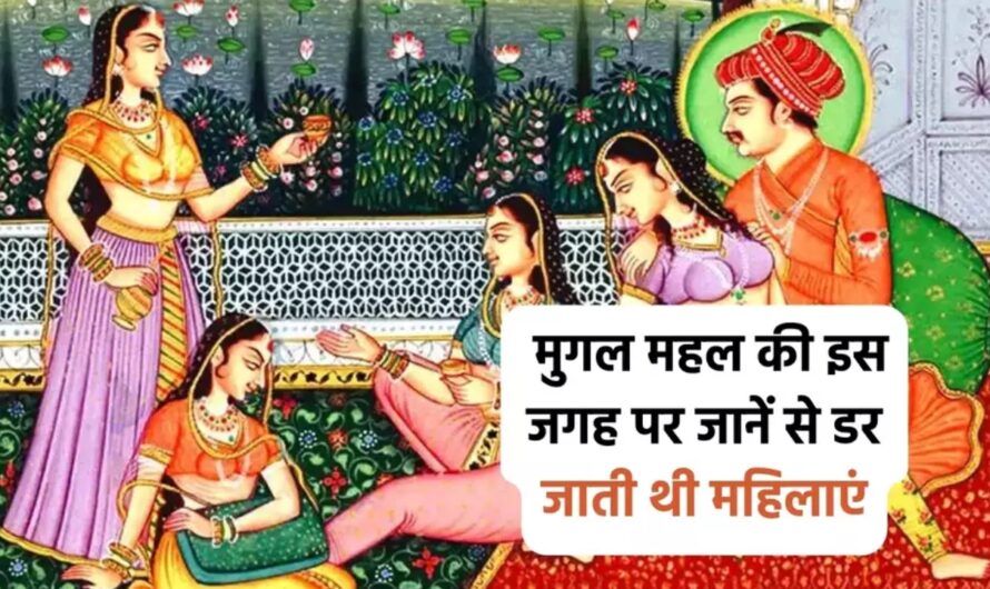 Mughal Harem Histroy: मुगल महल की इस जगह पर जानें से डर जाती थी महिलाएं, बंद कमरे में होता था ये काम