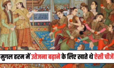 Mughal Harem Histroy: मुगल हरम में उतेजना बढ़ाने के लिए खाते थे ऐसी चीजें, पूरे दिन रात रहता था टाइट माहौल