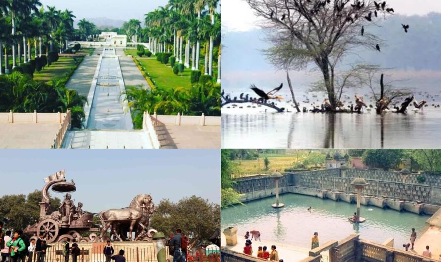 Tourist Places in Haryana: मानसून सीजन में घूमने के लिए बेस्ट है हरियाणा के ये टॉप टूरिस्ट प्लेस, कम बजट में कर सकते हैं ‘जन्नत’ की सैर