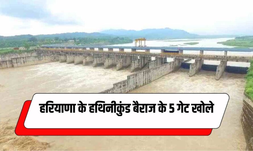 Hathnikund Barrage Water: हरियाणा के हथिनीकुंड बैराज के 5 गेट खोले, दिल्ली में उफनता हुआ आएगा पानी, अलर्ट जारी