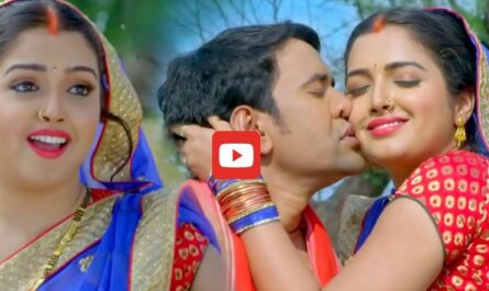 Bhojpuri Song: आम्रपाली दूबे को साड़ी में देख बहके निरहुआ, खेतों के बीच किया जबरदस्त रोमांस, वायरल हुआ वीडियो