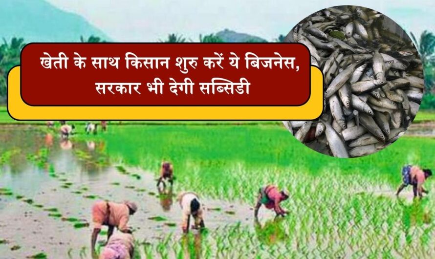 Kisan News: खेती के साथ किसान शुरु करें ये बिजनेस, सरकार भी देगी सब्सिडी, सालभर होगी बंपर कमाई