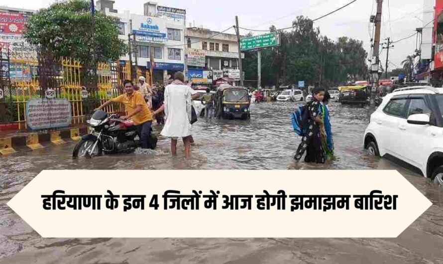 Haryana Weather Alert: हरियाणा के इन 4 जिलों में आज होगी झमाझम बारिश, 24 घंटे बाद मौसम में होगा बड़ा बदलाव