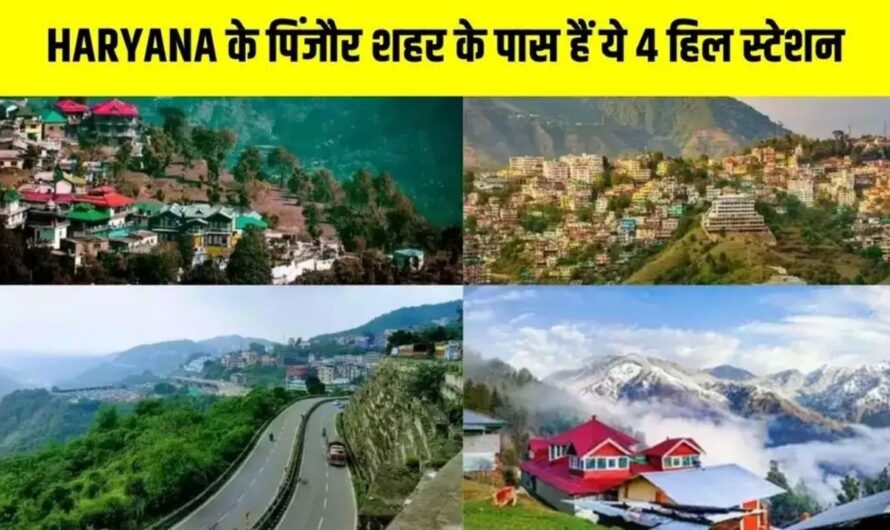 HARYANA के पिंजौर शहर के पास हैं ये 4 हिल स्टेशन, कम खर्चे में मिलेगा यहां Shimla वाला मजा