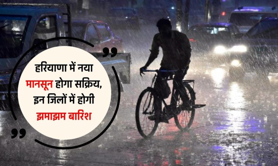 Haryana Weather Alert: हरियाणा में नया मानसून होगा सक्रिय, इन जिलों में होगी झमाझम बारिश, देखें मौसम पूर्वानुमान