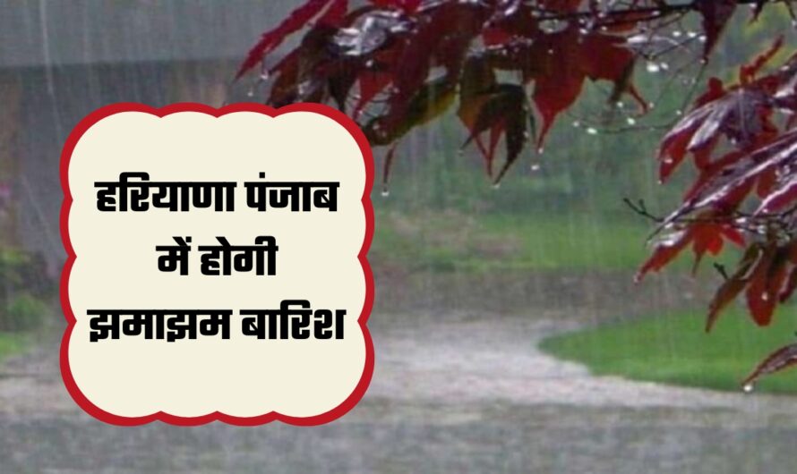 Kal 12 July ka Mousam: हरियाणा पंजाब में होगी झमाझम बारिश, देखें मौसम विभाग का कल का मौसम पूर्वानुमान