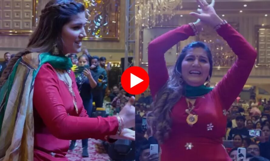 Sapna Chaudhary Dance: सपना चौधरी ने स्टेज पर जलेबी की तरह घुमाई कमर, ठुमके देख मदहोश हुए दर्शक