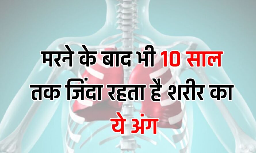 Trending Quiz : मरने के बाद भी 10 साल तक जिंदा रहता है शरीर का ये अंग, जानकर हो जाएंगे हैरान