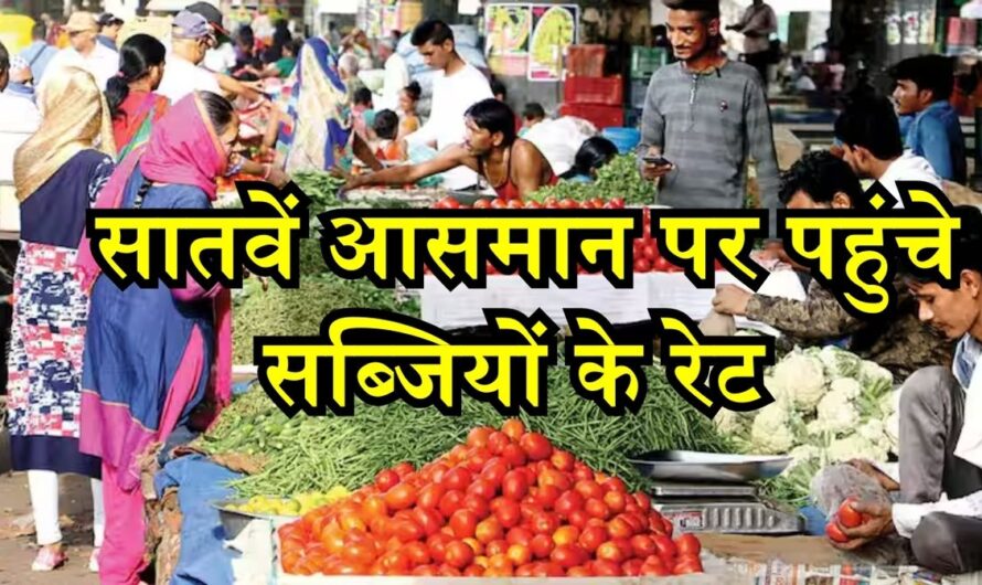 Vegetable: सातवें आसमान पर पहुंचे सब्जियों के रेट, टमाटर 130 रुपये किलो, प्याज 50 पार, जानें क्यों बढ़ रहे दाम?