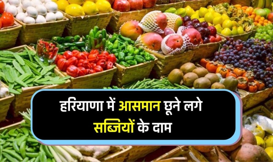 Vegetable Price Hike: हरियाणा में आसमान छूने लगे सब्जियों के दाम, महंगाई से बिगड़ा लोगों के घर का बजट