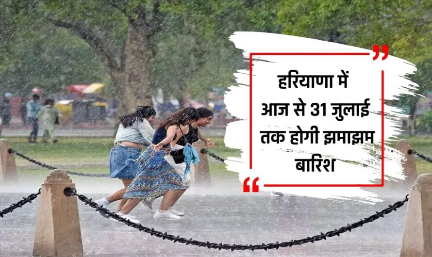 Haryana Weather Today: हरियाणा में आज से 31 जुलाई तक होगी झमाझम बारिश, मौसम विभाग ने इन 8 जिलों के लिए जारी किया अलर्ट