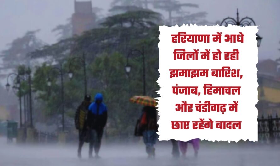 Haryana Monsoon Rain Alert: हरियाणा में आधे जिलों में हो रही झमाझम बारिश, पंजाब, हिमाचल और चंडीगढ़ में छाए रहेंगे बादल, IMD का अलर्ट जारी