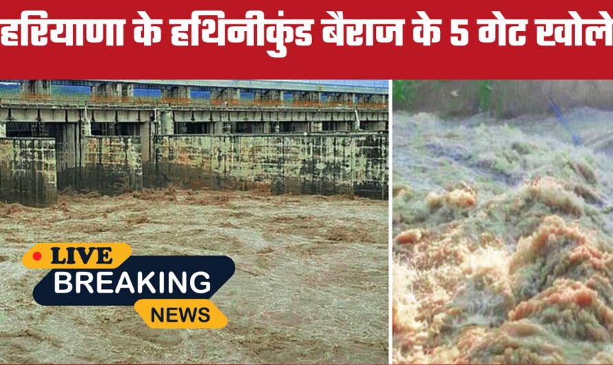 Hathnikund Barrage Water: हरियाणा के हथिनीकुंड बैराज के 5 गेट खोले, दिल्ली में उफनता हुआ आएगा पानी, अलर्ट जारी