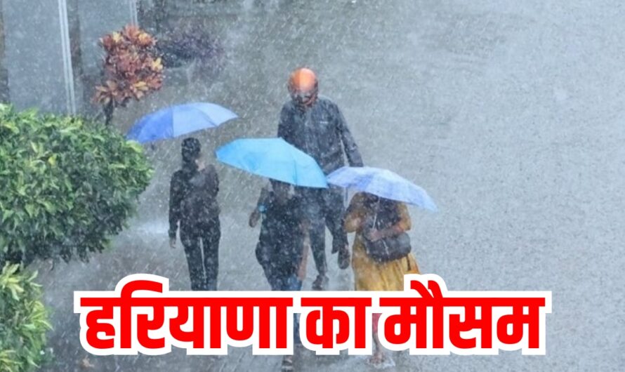 Haryana Weather Update: हरियाणा के इन पाँच जिलों में होगी भारी बारिश , IMD ने जारी किया येलो अलर्ट