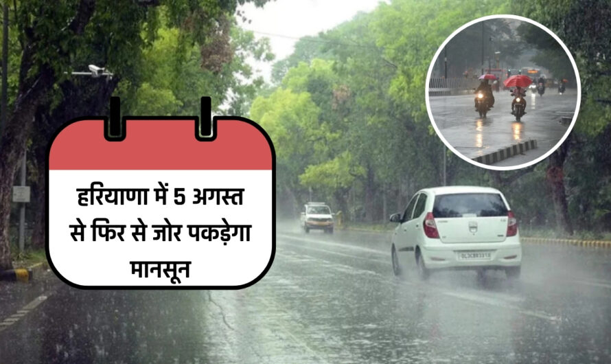 Haryana Weather Today: हरियाणा में 5 अगस्त से फिर से जोर पकड़ेगा मानसून, 24 घंटों की बारिश से 13 डिग्री गिरा पारा