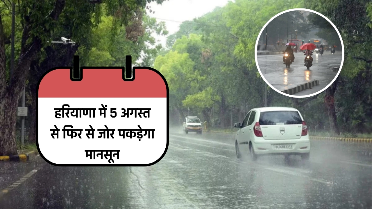 Haryana Weather, Haryana weather update, Haryana news, Haryana news in hindi, Haryana rain, imd rain alert in Haryana,