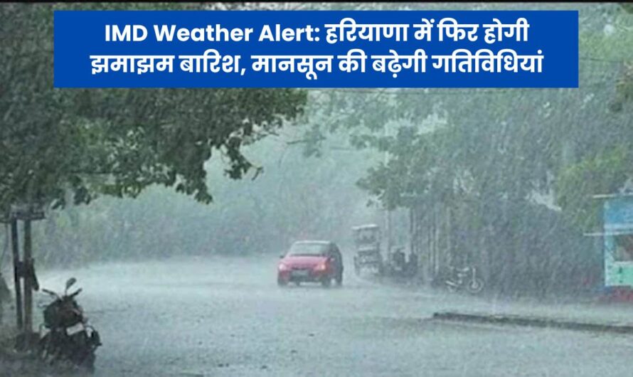 IMD Weather Alert: हरियाणा में फिर होगी झमाझम बारिश, मानसून की बढ़ेगी गतिविधियां