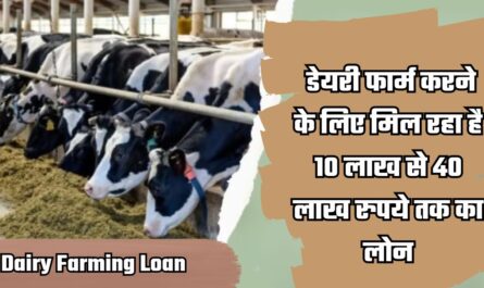 Dairy Farming Loan