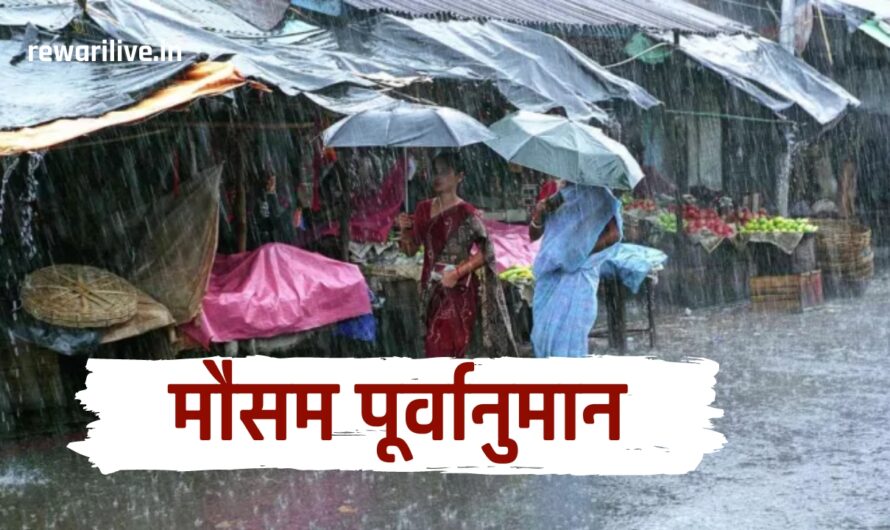 Haryana Weather Update: हरियाणा के इन जिलों में  6 से 12 अगस्त तक होगी झमाझम बारिश, देखें कल कैसा रहेगा मौसम