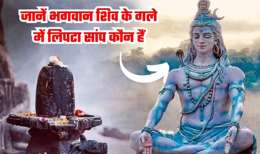 Shiv Epic Story: जानें भगवान शिव के गले में लिपटा सांप कौन हैं, पौराणिक कथा जानकर आप भी जपने लगेंगे भोले का नाम