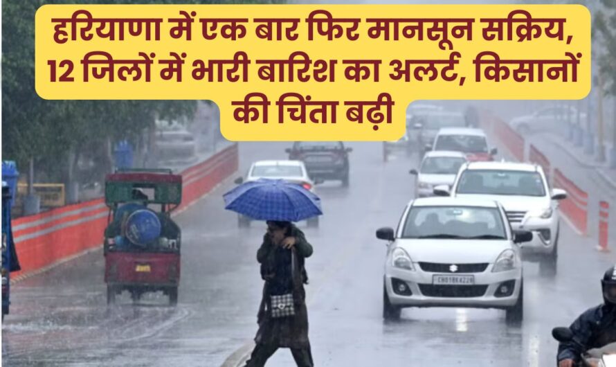 Haryana weather update: हरियाणा में एक बार फिर मानसून सक्रिय,12 जिलों में भारी बारिश का अलर्ट, किसानों की चिंता बढ़ी