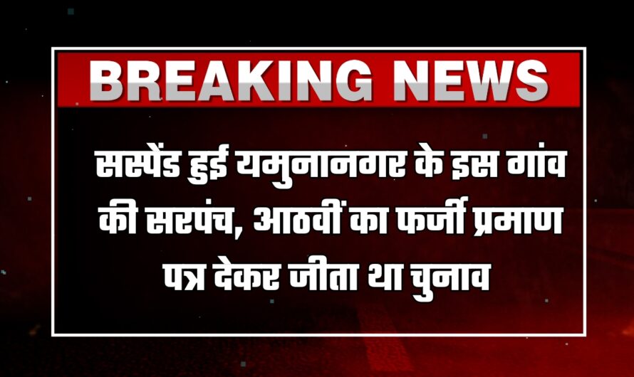 Sarpanch Suspend: आठवीं का फर्जी प्रमाण पत्र देकर जीता था चुनाव, जांच हुई तो सस्पेंड हुई यमुनानगर के इस गांव की सरपंच