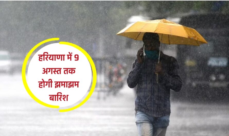 Haryana Weather Update: हरियाणा में 9 अगस्त तक होगी झमाझम बारिश, मौसम विभाग ने जारी किया अलर्ट