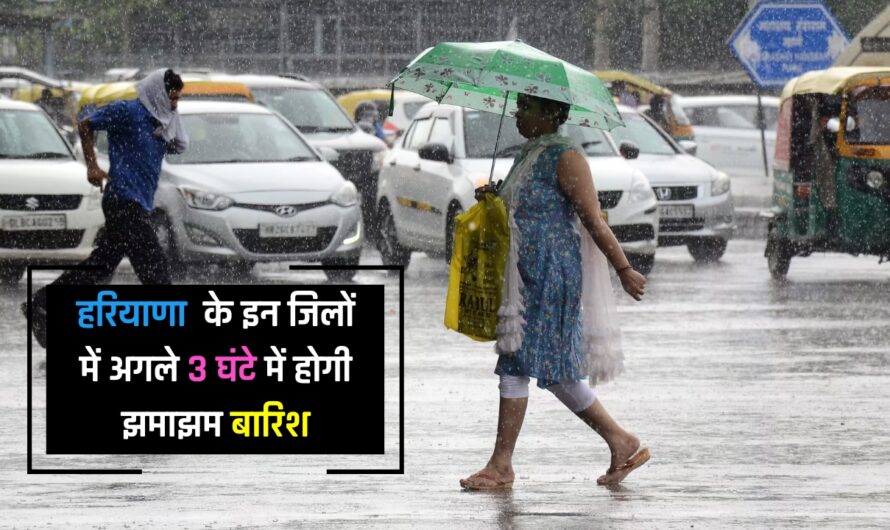 IMD Weather Alert: हरियाणा पंजाब के इन जिलों में अगले 3 घंटे में होगी झमाझम बारिश, देखें तात्कालिक पूर्वानुमान