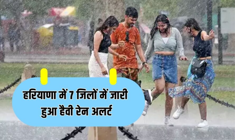 Haryana Weather Update: हरियाणा में अगले 24 घंटों में फिर मेहरबान होगा मानसून, 7 जिलों में जारी हुआ हैवी रेन अलर्ट