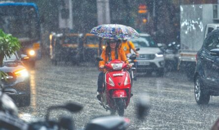 rain in haryana