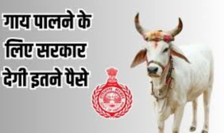 Haryana News: हरियाणा के किसान खुश! गाय पालने के लिए सरकार देगी इतने पैसे