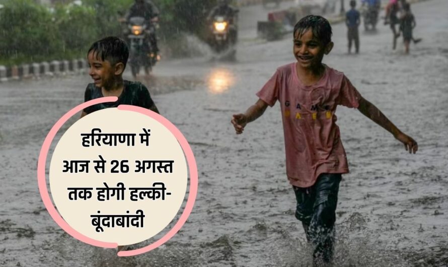 Haryana Weather Update: हरियाणा में आज से 26 अगस्त तक होगी हल्की-बूंदाबांदी, जानें कल कैसा रहेगा मौसम, ये रही IMD की ताजा रिपोर्ट