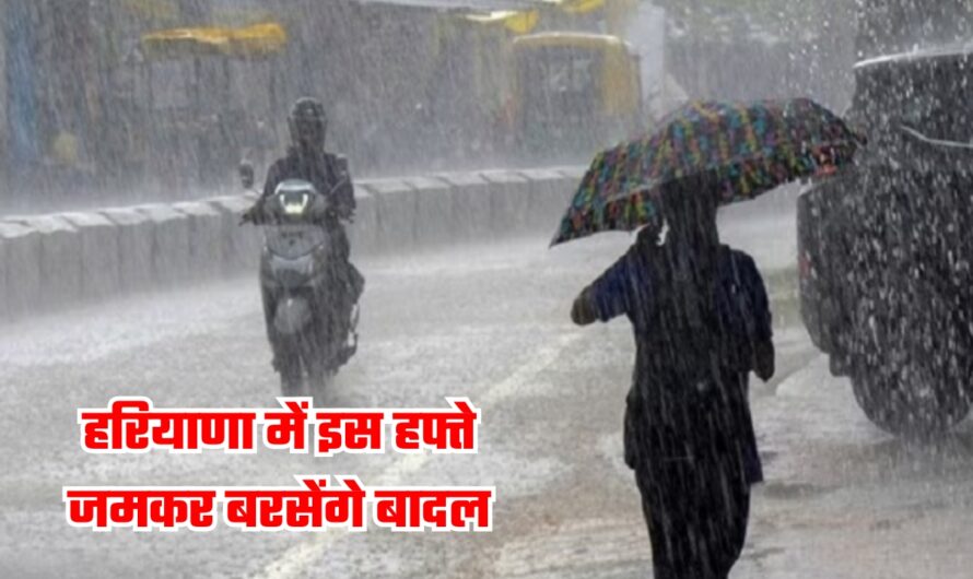 Haryana Weather Update: हरियाणा में इस हफ्ते जमकर बरसेंगे बादल, जानें आज कैसा रहेगा मौसम का हाल