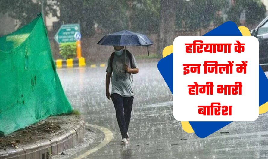 Haryana Weather Update: हरियाणा के इन जिलों में होगी भारी बारिश , मौसम विभाग ने जारी किया येलो अलर्ट