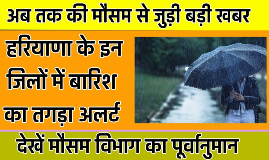 Haryana Weather: हरियाणा के इन जिलों में बारिश का तगड़ा अलर्ट, देखें मौसम विभाग का पूर्वानुमान