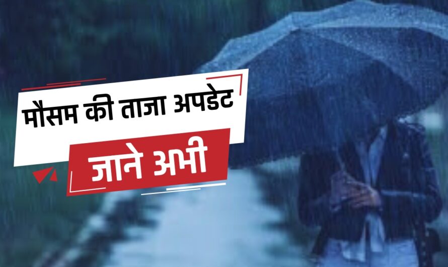 Weather Update: हरियाणा के इन जिलों में आज होगी जोरदार बारिश, जाने मौसम की ताजा अपडेट