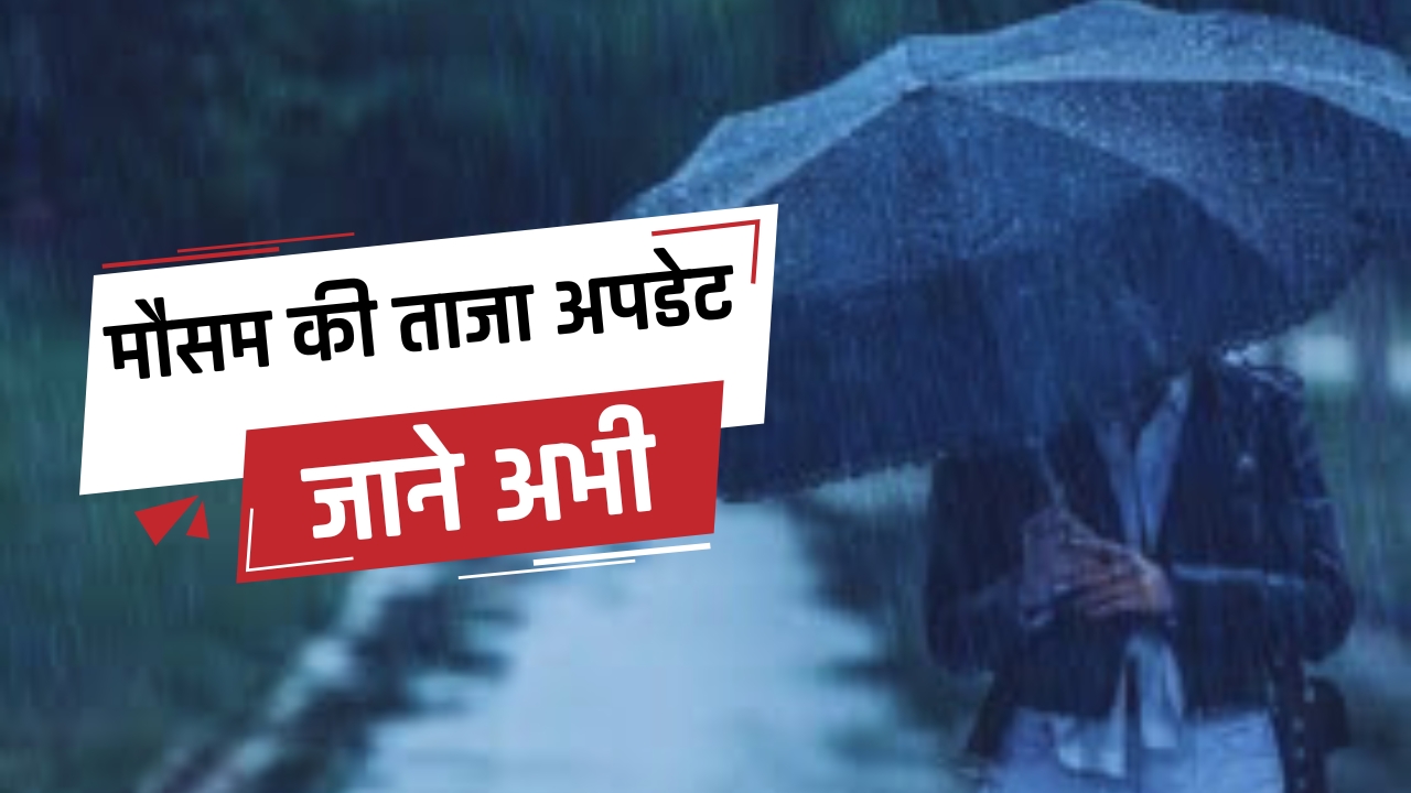 Weather Update: हरियाणा के इन जिलों में आज होगी जोरदार बारिश, जाने मौसम की ताजा अपडेट