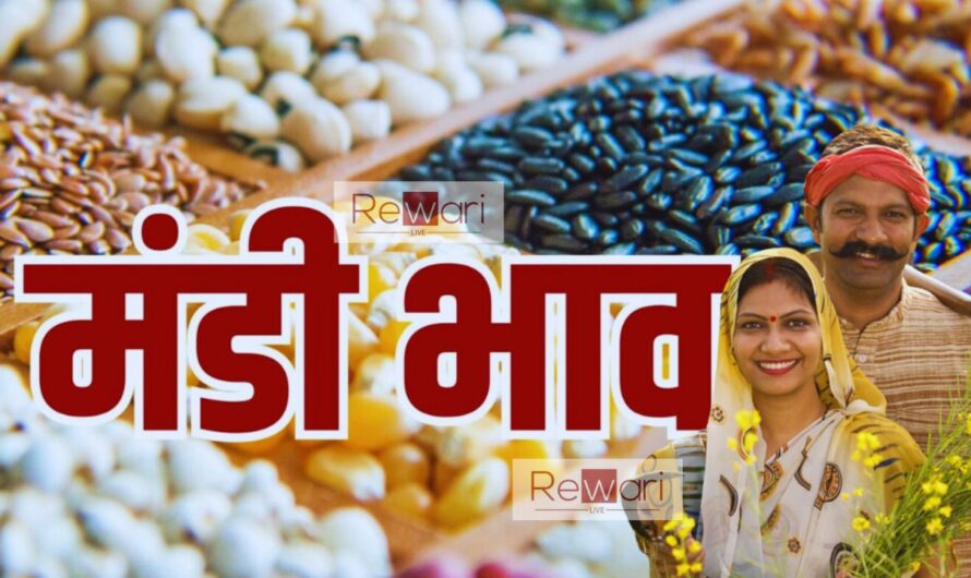 Aaj Ka Mandi Bhav : हरियाणा राजस्थान समेत विभिन राज्यों की मंडियों इन रेटों पर बिकी सारी फसलें, देखें आज क्या भाव रहे?