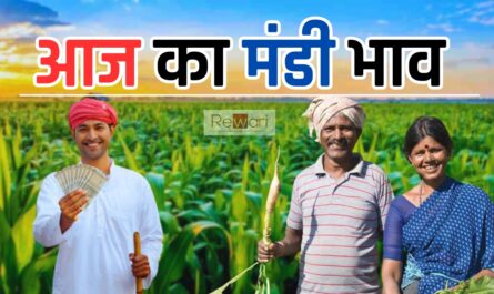 Aaj Ka Mandi Bhav : हरियाणा राजस्थान समेत विभिन राज्यों की मंडियों में इस रेट पर बिकी फसलें, देखें आज के भाव?