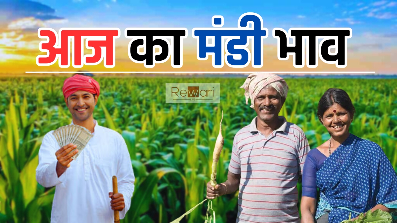 Aaj Ka Mandi Bhav : हरियाणा राजस्थान समेत विभिन राज्यों की मंडियों में इस रेट पर बिकी फसलें, देखें आज के भाव?