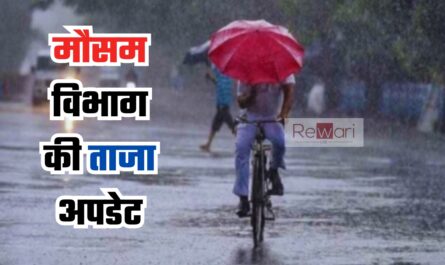 Haryana Weather: हरियाणा के इन जिलों में आज होगी भारी बारिश, देखें मौसम विभाग की ताजा अपडेट