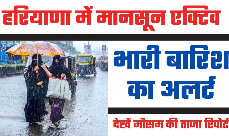 Haryana Weather : हरियाणा में मानसून एक्टिव, इन इलाकों में बारिश का अलर्ट, देखें मौसम की ताजा रिपोर्ट