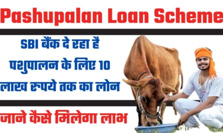 Loan Scheme : SBI बैंक दे रहा है पशुपालन के लिए 10 लाख रुपये तक का लोन, जाने कैसे मिलेगा लाभ