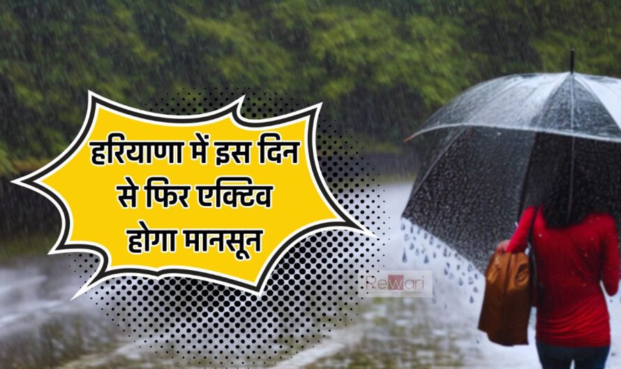 Haryana Weather : हरियाणा में इस दिन से फिर एक्टिव होगा मानसून, इन जिलों में होगी बारिश, देखें मौसम की नई रिपोर्ट