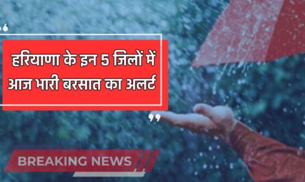 Haryana Weather: हरियाणा के इन 5 जिलों में आज भारी बरसात का अलर्ट, जाने मौसम विशेषज्ञों की ताजा रिपोर्ट