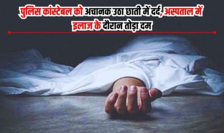 "Haryana news,