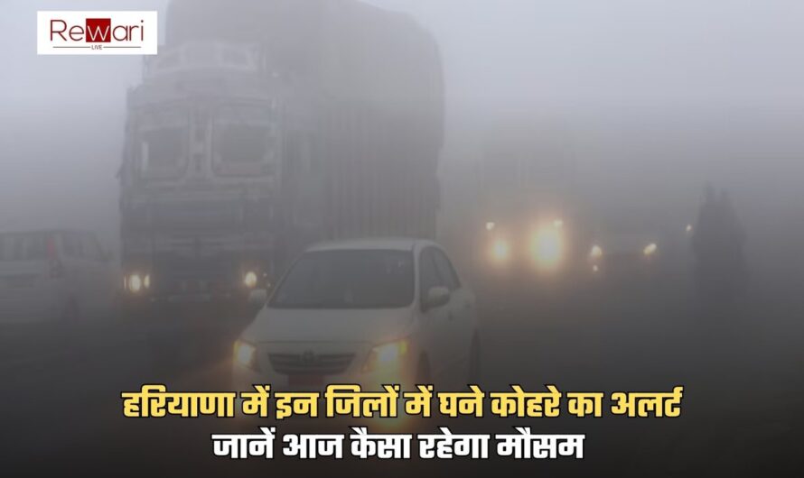 Haryana Weather: हरियाणा में इन जिलों में घने कोहरे का अलर्ट, जानें आज कैसा रहेगा मौसम