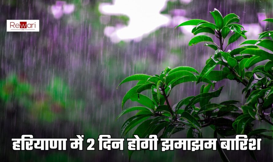 Haryana Weather: हरियाणा में 2 दिन होगी झमाझम बारिश, देखें मौसम विभाग का अलर्ट